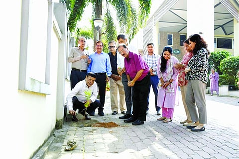 AERC Plantation Programme