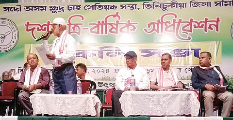 triennial conference