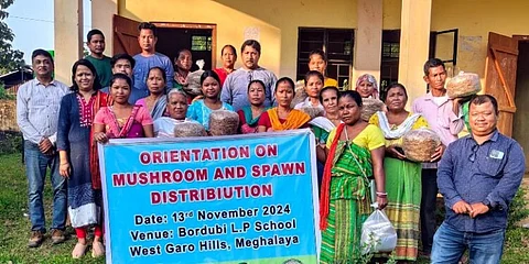 Meghalaya Women Impacted By Human- Elephant Conflict Receives Training On Mushroom Farming