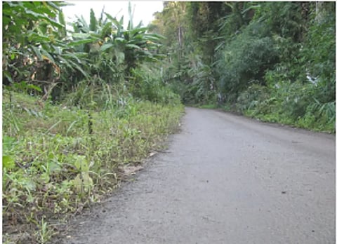 Arunachal's Historic Stilwell Road Under Threat Due to Erosions and Landslides