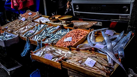 India’s seafood