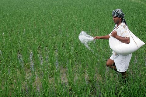 fertiliser shortage