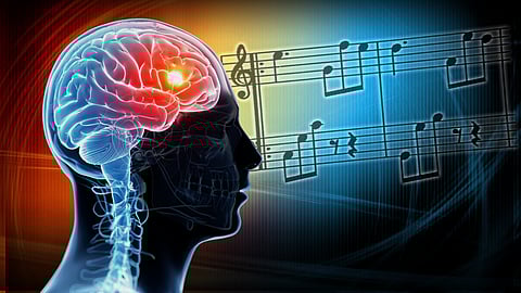 Music and the Brain