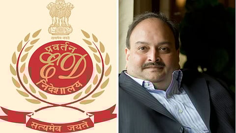 Enforcement Directorate