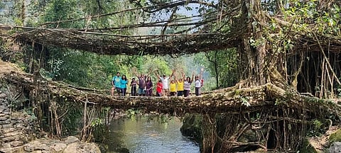 Living Root Bridges of Meghalaya