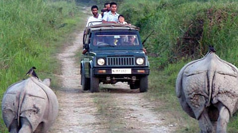 Kaziranga