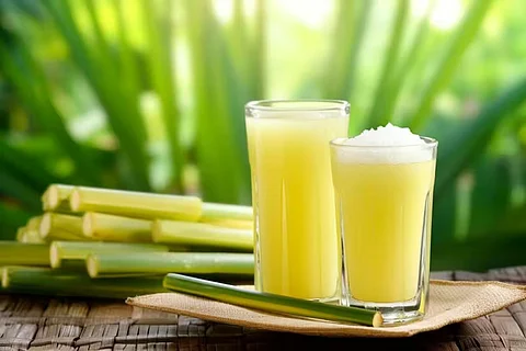 sugarcane