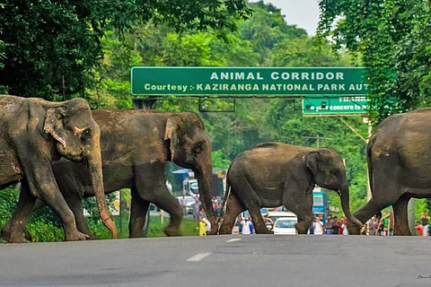 National Highway