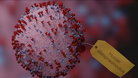 core committee to tackle HMPV