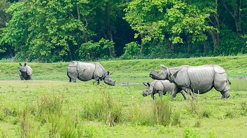 Assam Rises as a Top Global Destination; Ranked in The New York Times “52 Places to Go in 2025”
