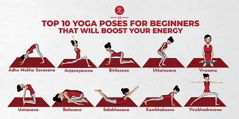 Yoga Asanas for Beginners