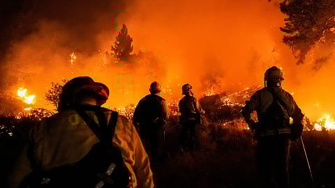 Firefighters