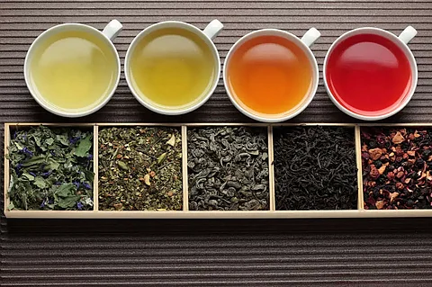 the tea regions in India