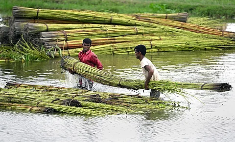 Assam