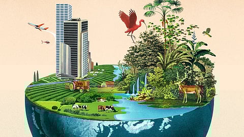 Manipur: Stakeholder Consultation Begins for Revision of Biodiversity Strategy and Action Plan