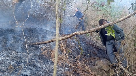 Kigwema Youth Organisation firefighting efforts