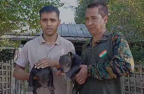 Bear rescue Jorhat village, Assam