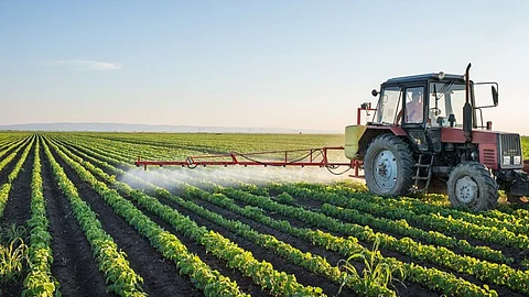 Assam agriculture