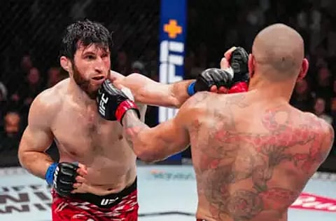 Magomed Ankalaev