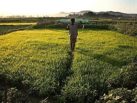 farmers’ welfare