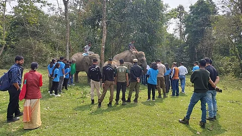 Wildlife orientation programme