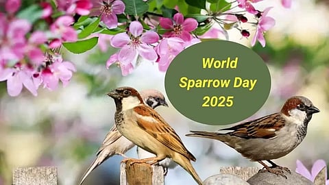 World Sparrow Day