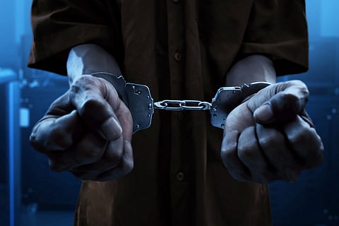 Thieves Arrested