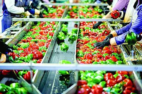 Food Processing Training