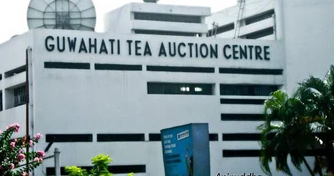 tea auctions