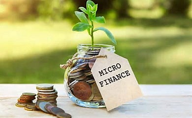 Microfinance Credit