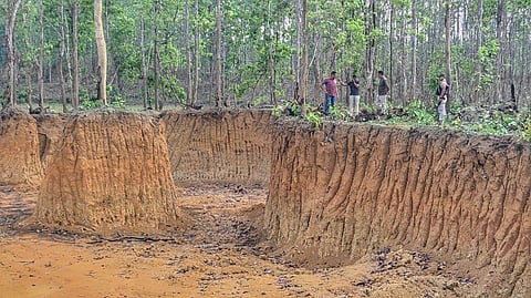 cutting soil illegally