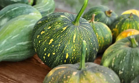 pumpkins