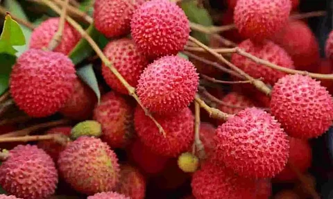 agricultural products