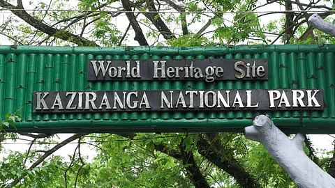 Assam: Kaziranga achieves record footfall; 3rd most visited Park in India