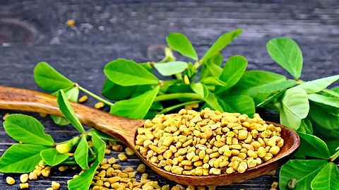 Fenugreek Seeds