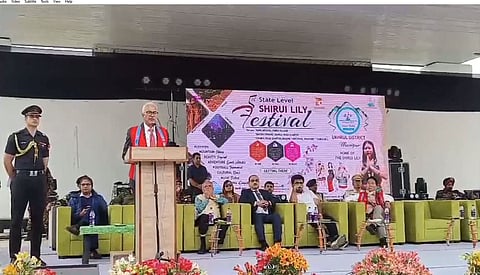 5th Shirui Lily Festival