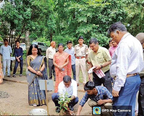 Assam Forest School