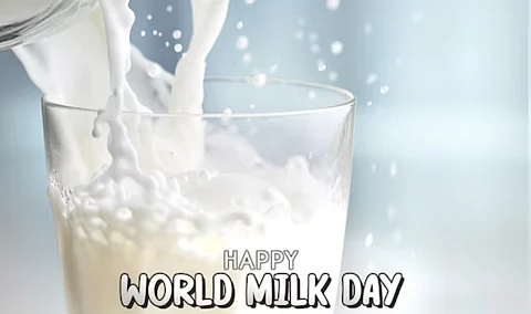 World Milk Day