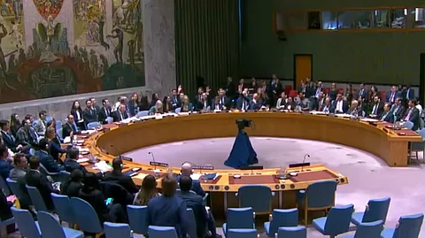 UN Security Council committees