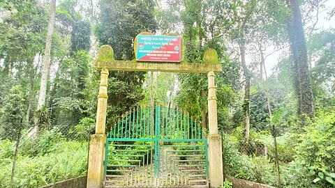 जोकाई बॉटनिकल गार्डन