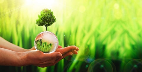 Numaligarh Higher Secondary School