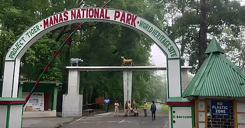 Manas National Park