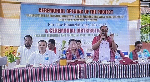 Karbi Anglong Autonomous Council (KAAC)