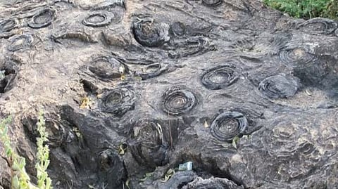 Salkhan Fossils Park