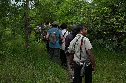 Pakke Tiger Reserve