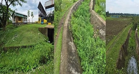 irrigation department