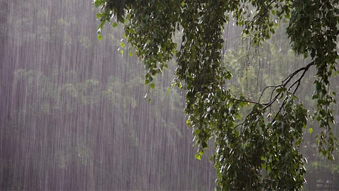 A Rain-Fall
