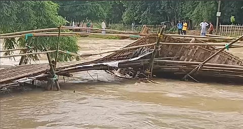 Bamboo Bridge