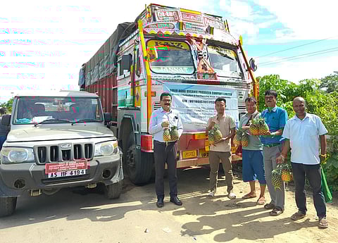 Assam: Consignment of organic pineapple flagged off to Delhi from Cachar