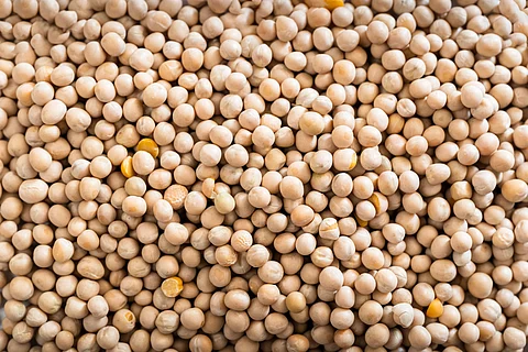 Yellow Peas